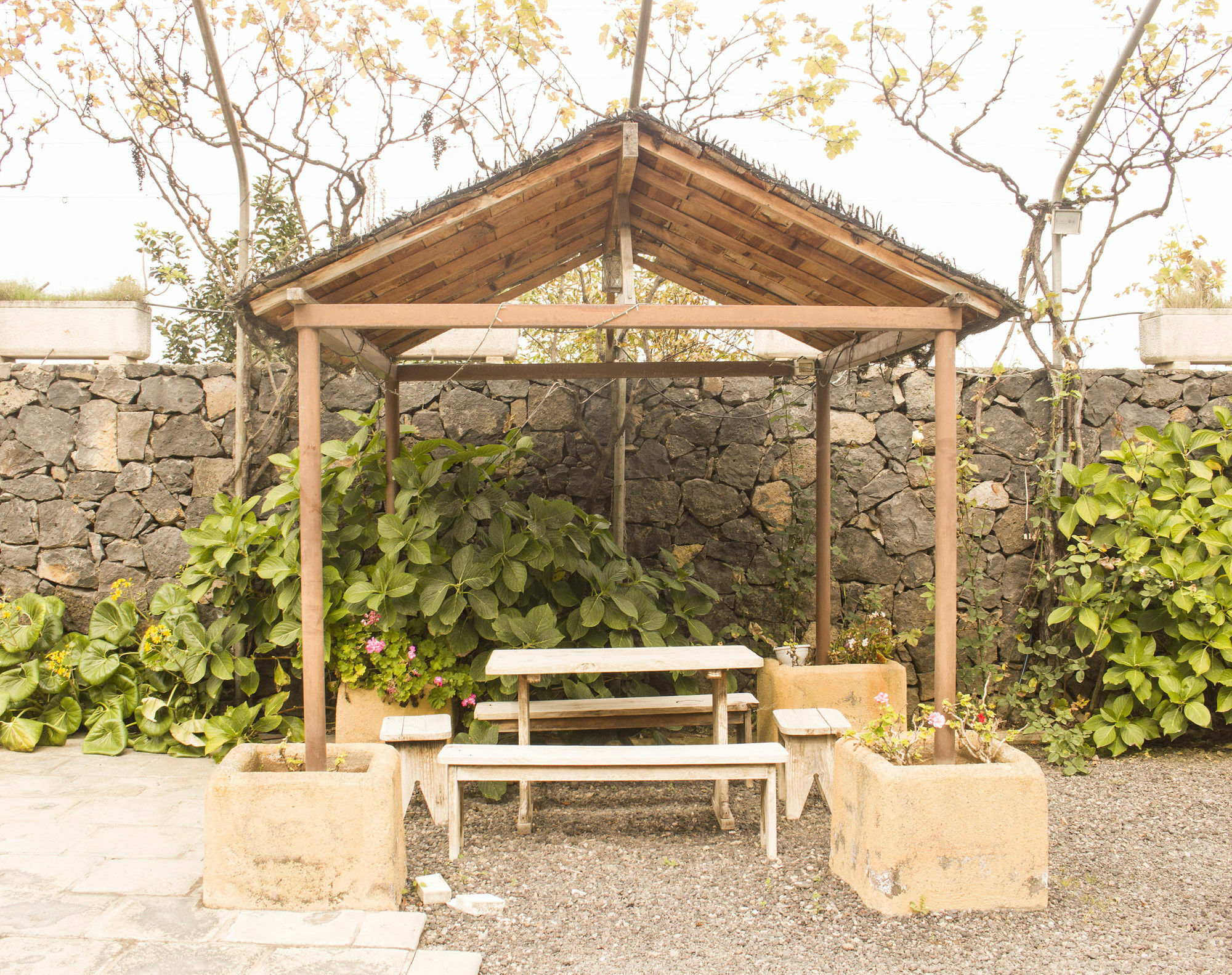 Casa Rural La Tanquera Los Realejos Luaran gambar