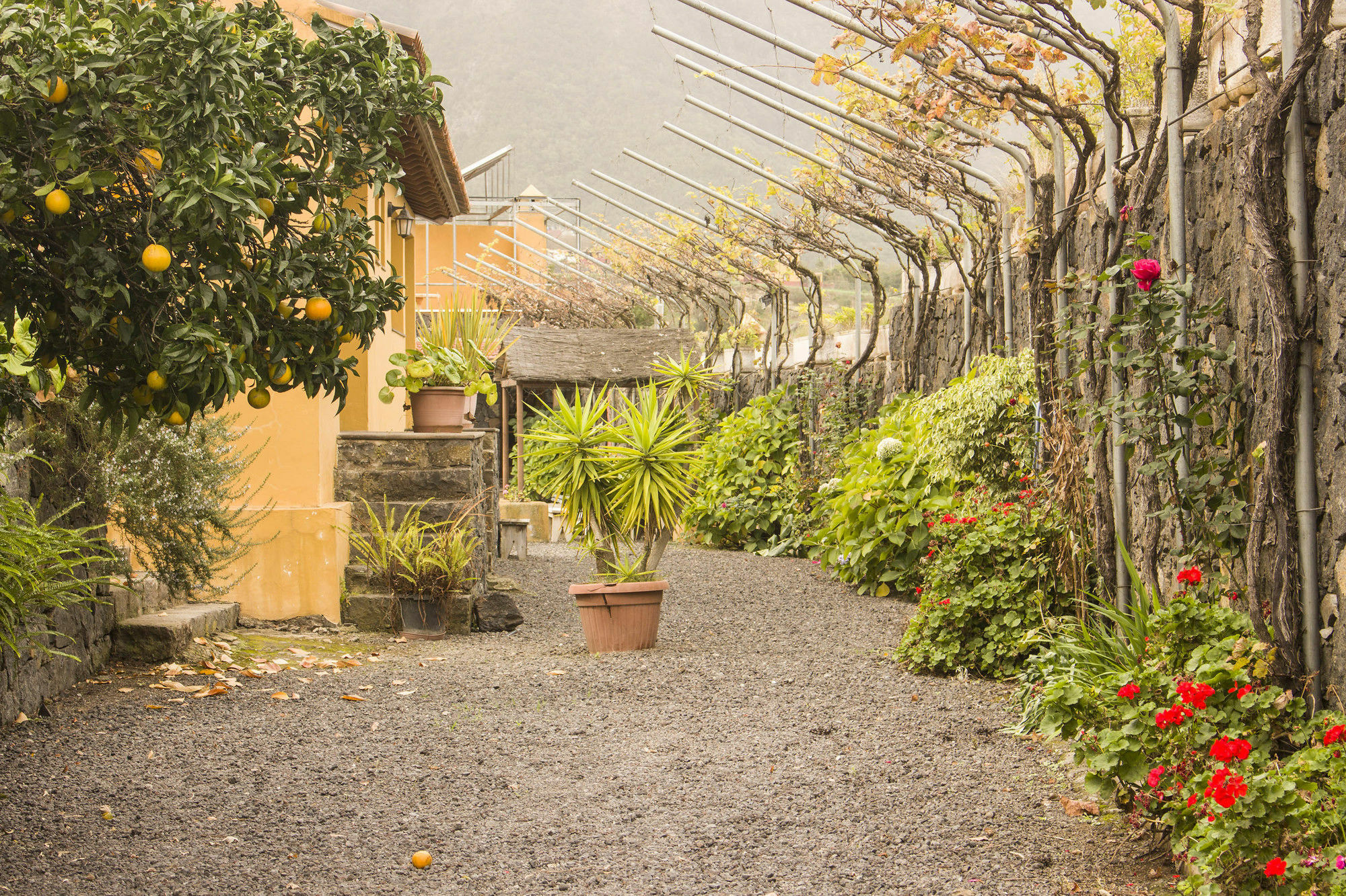 Casa Rural La Tanquera Los Realejos Luaran gambar